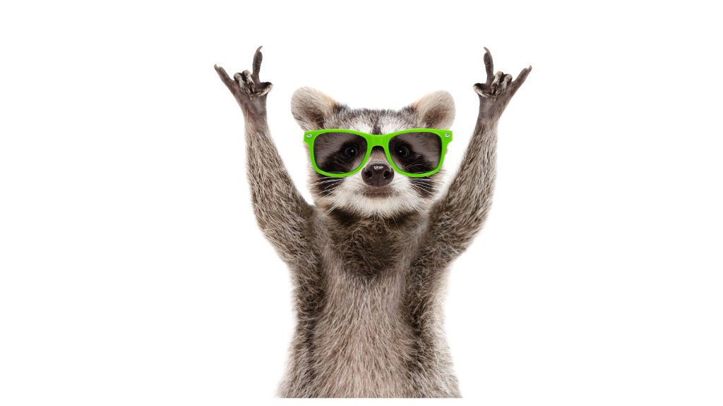 Funny raccoon in green sunglasses showing a rock gesture isolate