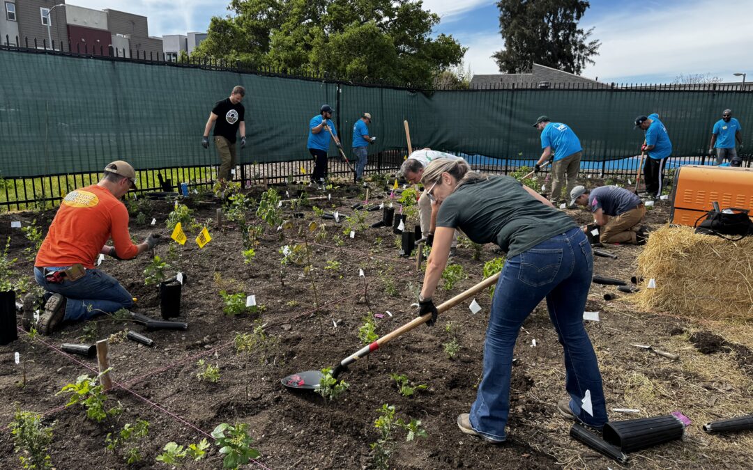 McGuire and Hester Helps Plant Roots at Raimondi Park